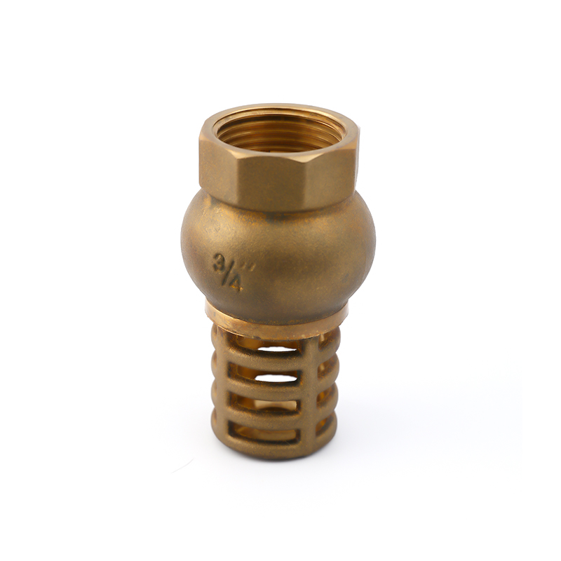  SKOV-4006 brass filter spring vertical brass water pump foot valve